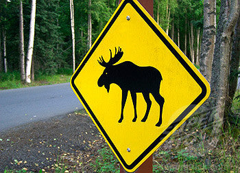 Moose Crossing Sign